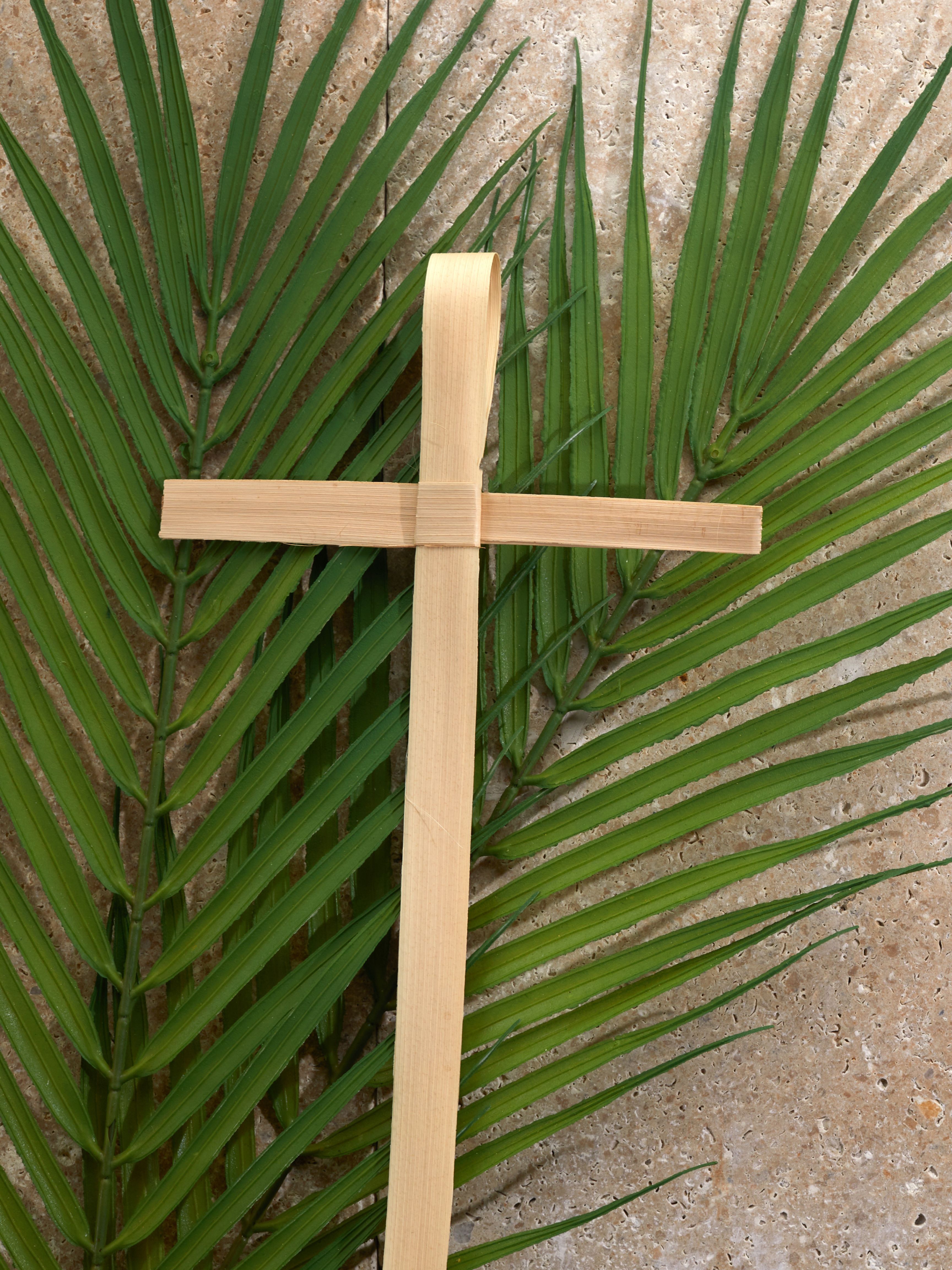 Palm Sunday Bilingual Eucharist